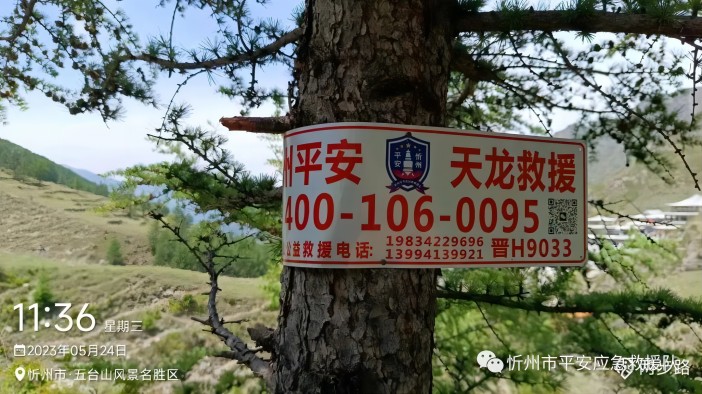 1685688620827415.jpg