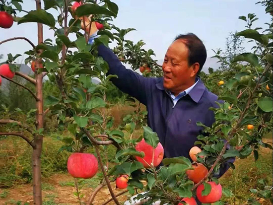 1642940203346836.jpg 微信图片_20220123210441.jpg