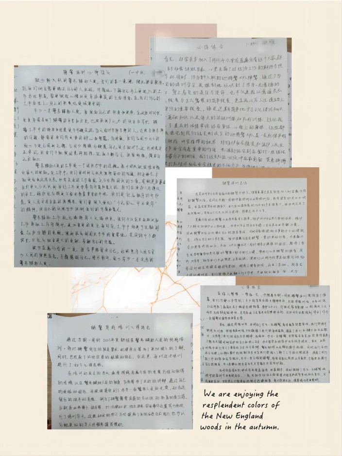 1706061701128217.jpg