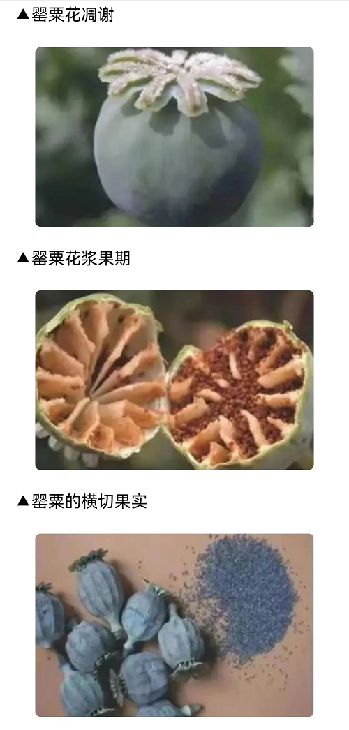 1713426930805167.png