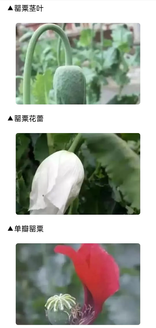 1713426911199882.png